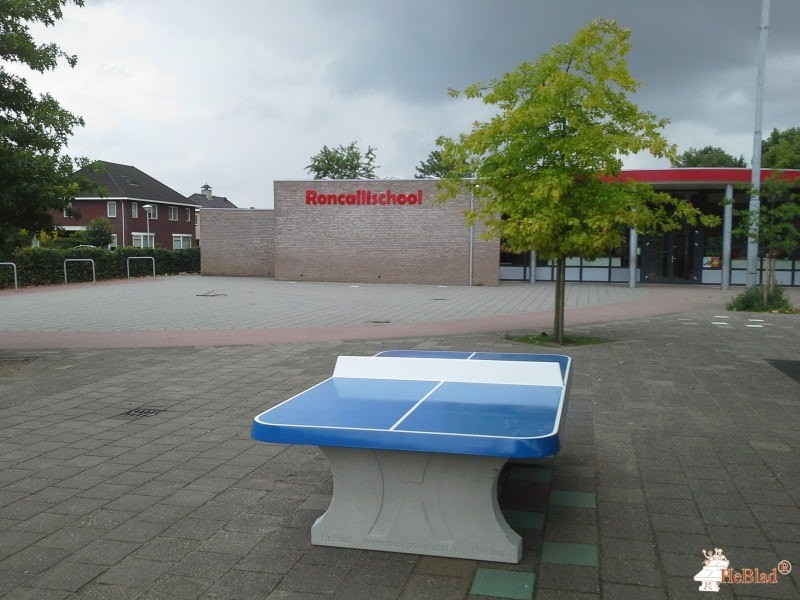 St. Suitbertusschool uit Zeddam