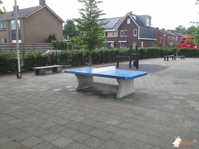 St. Suitbertusschool uit Zeddam