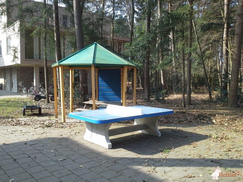 Trajecttum Kinabu uit Zeist