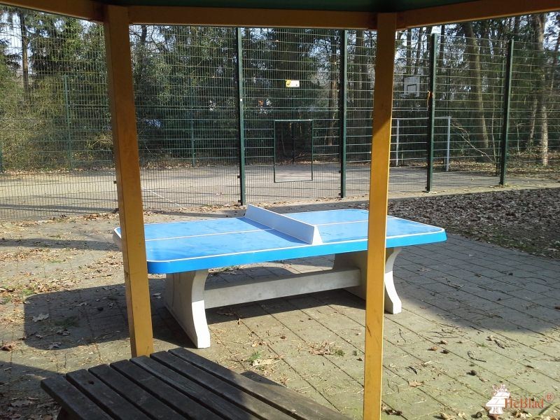 Trajecttum Kinabu uit Zeist