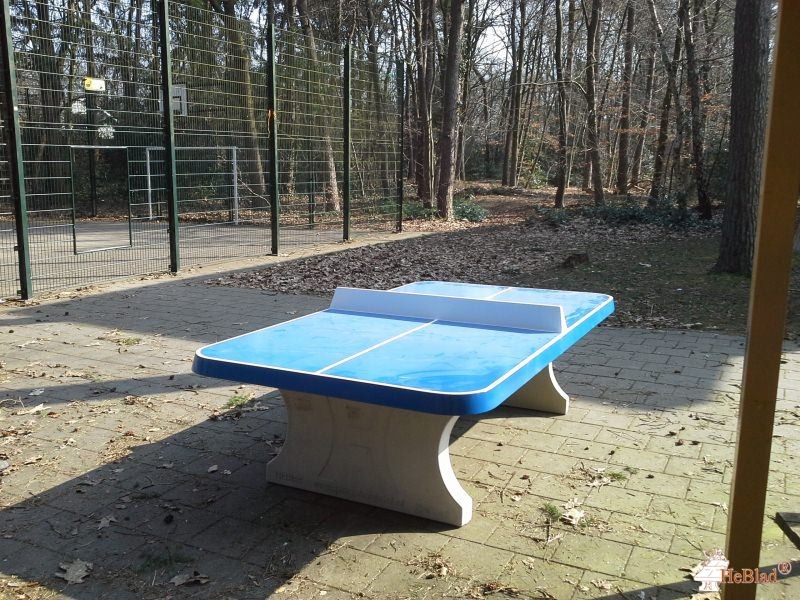 Trajecttum Kinabu uit Zeist