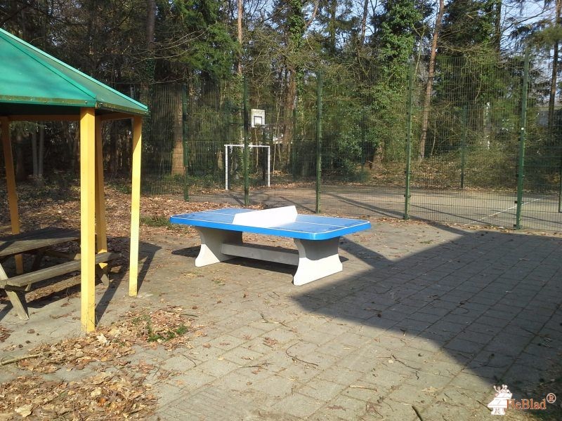 Trajecttum Kinabu uit Zeist