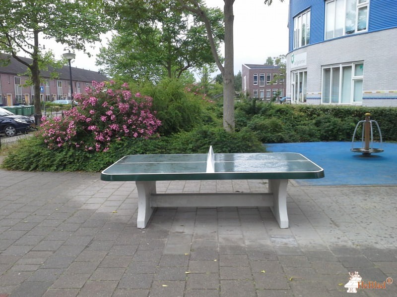 BS De Egelantier uit Almere