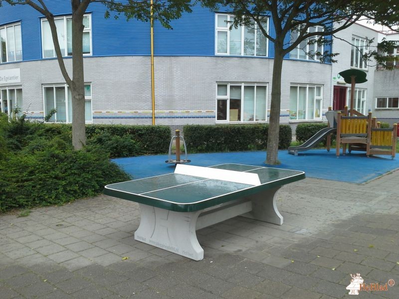BS De Egelantier uit Almere