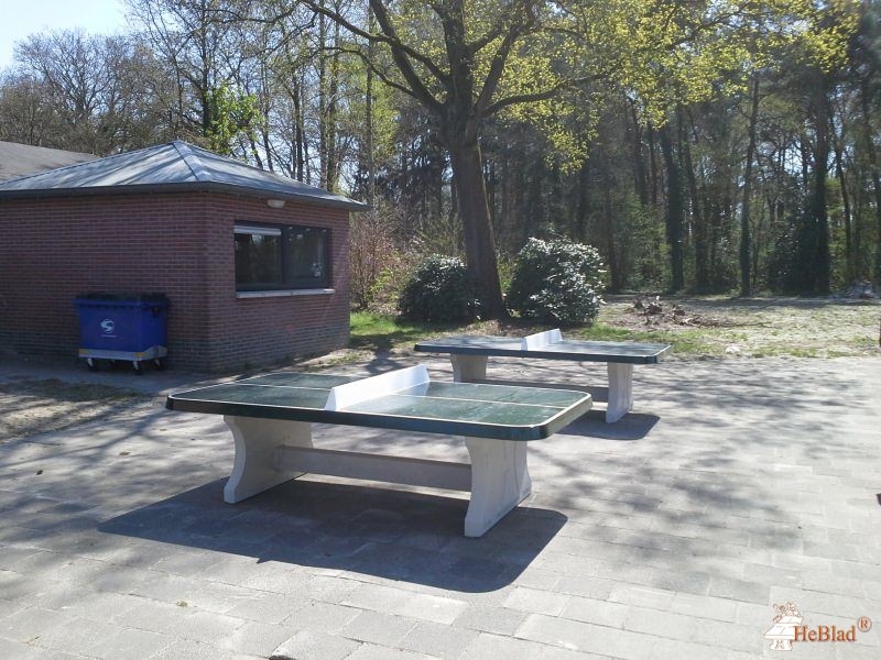 Centraal opvang Asielzoekers uit Borne