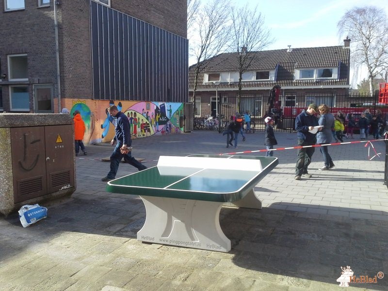 Freinetschool Delft, locatie Libel uit Delft