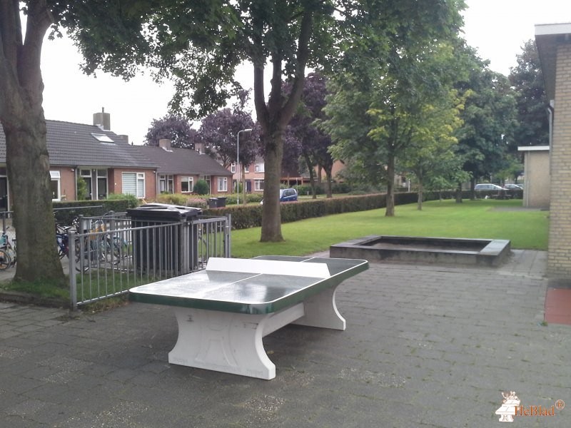 basisschool De Kameleon uit Driel
