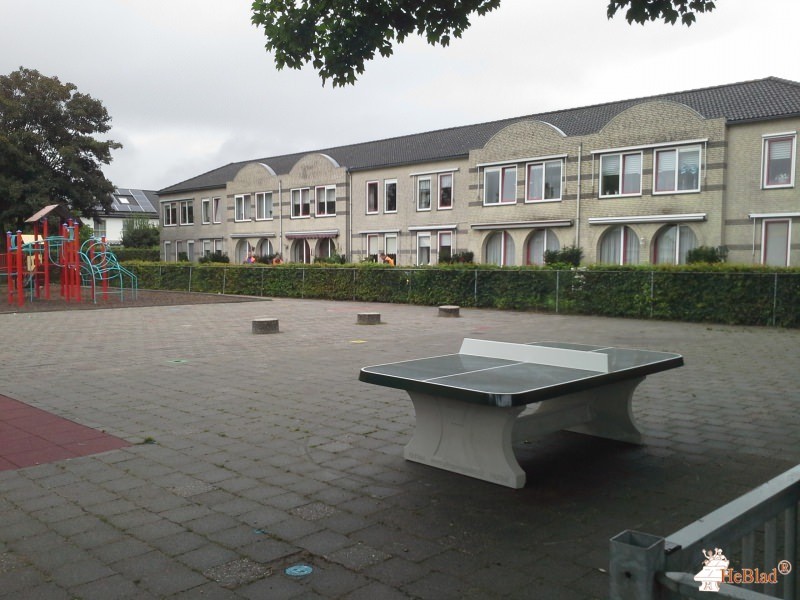 basisschool De Kameleon uit Driel