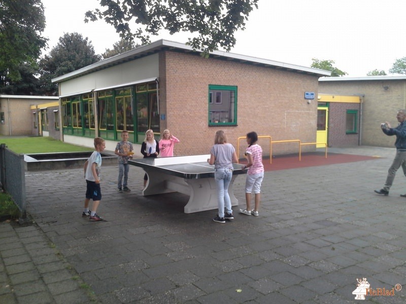 basisschool De Kameleon uit Driel