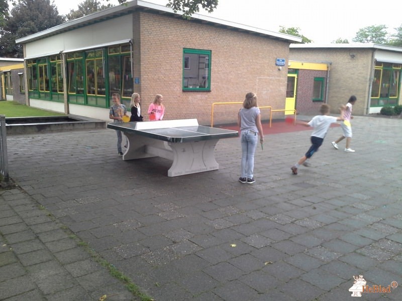 basisschool De Kameleon uit Driel