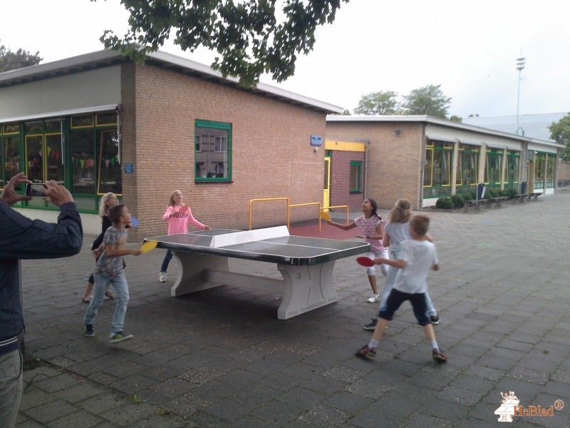 basisschool De Kameleon uit Driel