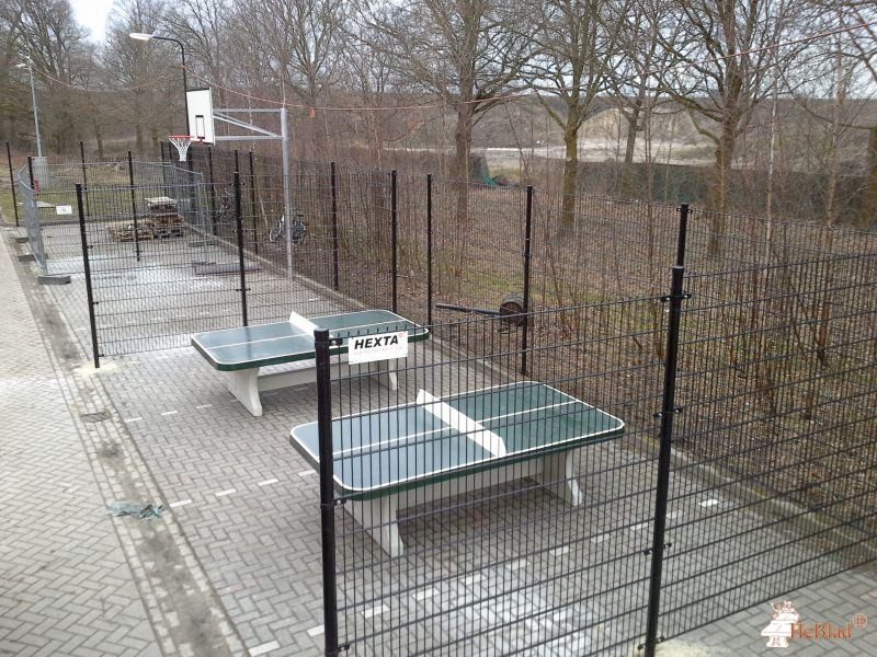 Centraal opvang Asielzoekers uit Eindhoven