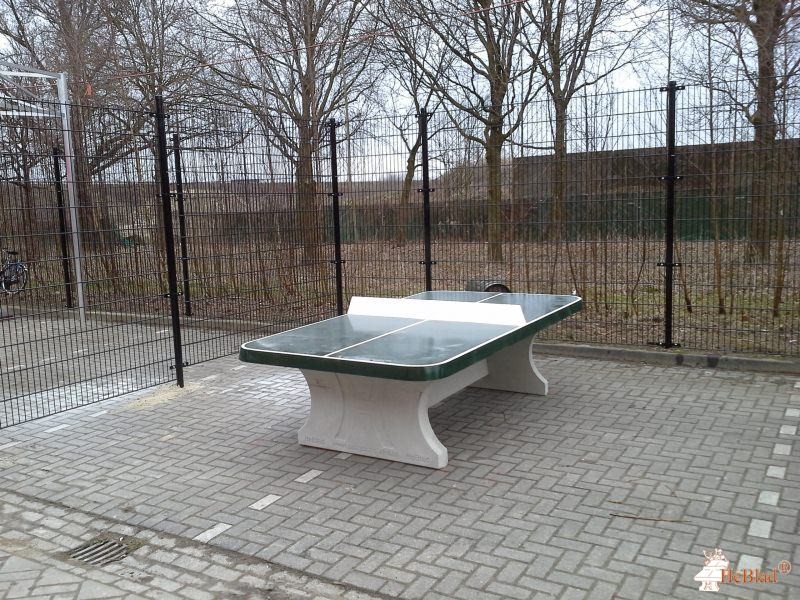 Centraal opvang Asielzoekers uit Eindhoven
