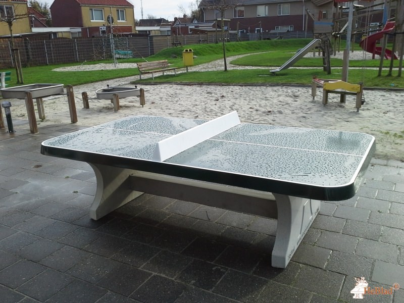 SKSG uit Groningen