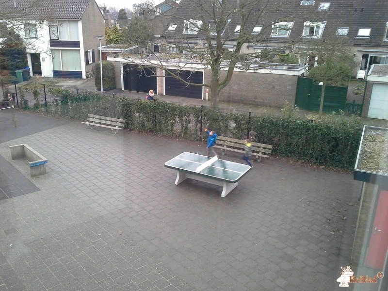 De Tweemaster uit Naarden