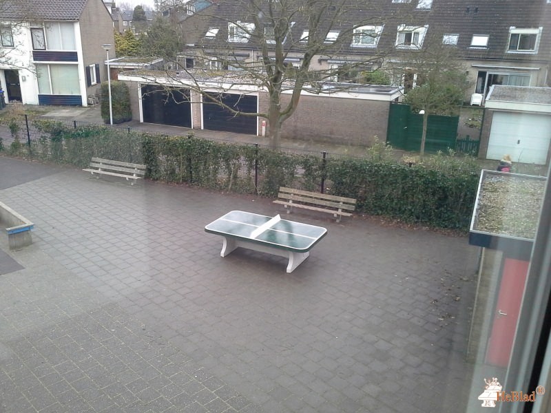 De Tweemaster uit Naarden