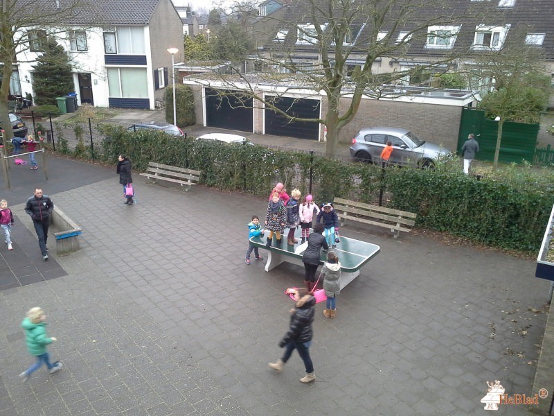 De Tweemaster uit Naarden