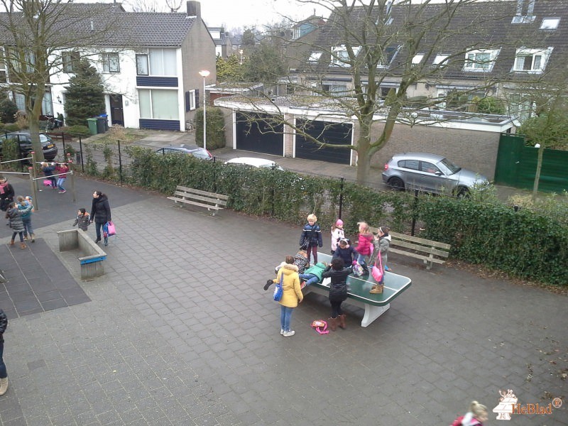 De Tweemaster uit Naarden
