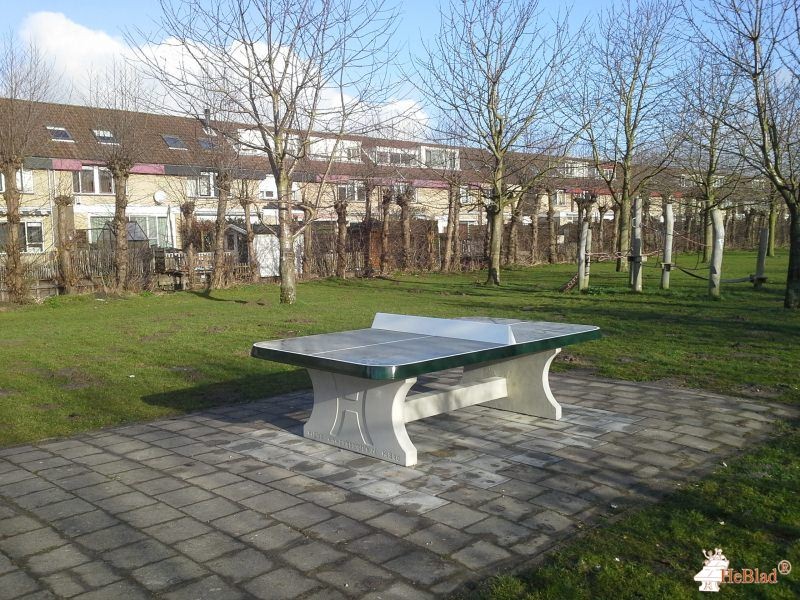 Boomgaard Poortugaal uit Poortugaal