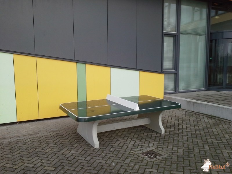 W.J.Bladergroen uit Purmerend