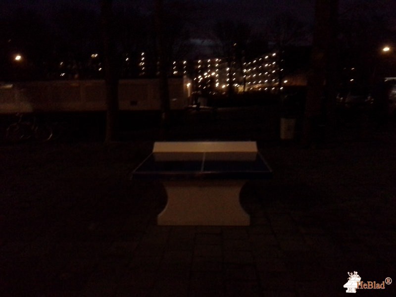 Ashram College uit Alphen aan den Rijn