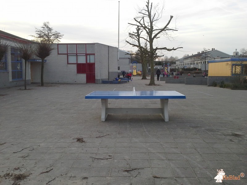MEERKRING OPENBAAR PRIMA uit Amersfoort