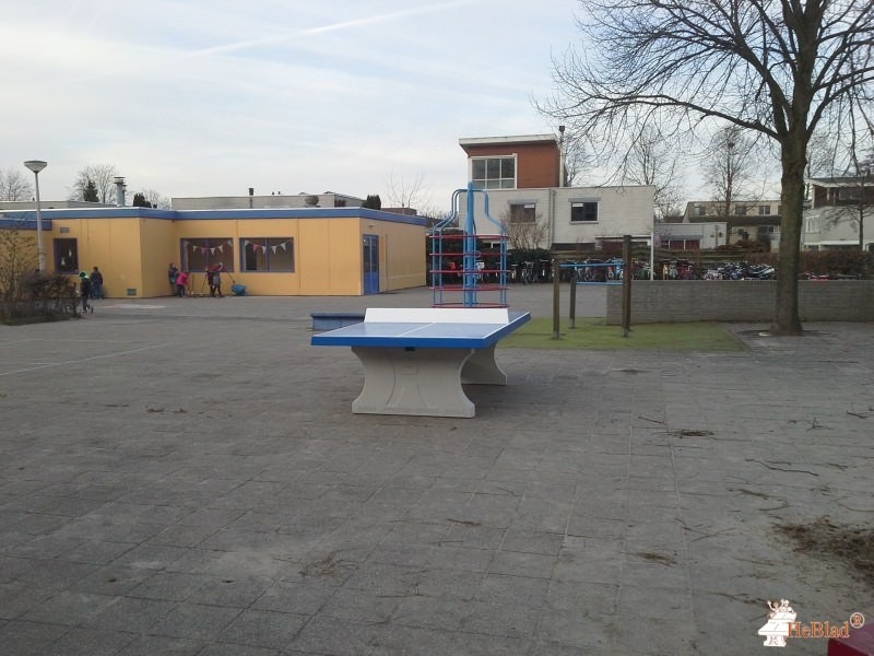 MEERKRING OPENBAAR PRIMA uit Amersfoort