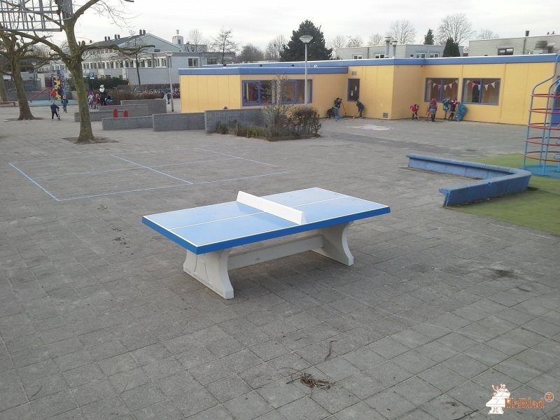MEERKRING OPENBAAR PRIMA uit Amersfoort