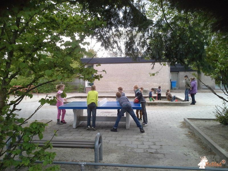 BS De Heijdonck uit Best