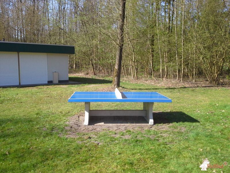 Kampeerterrein De Abbert uit Dronten