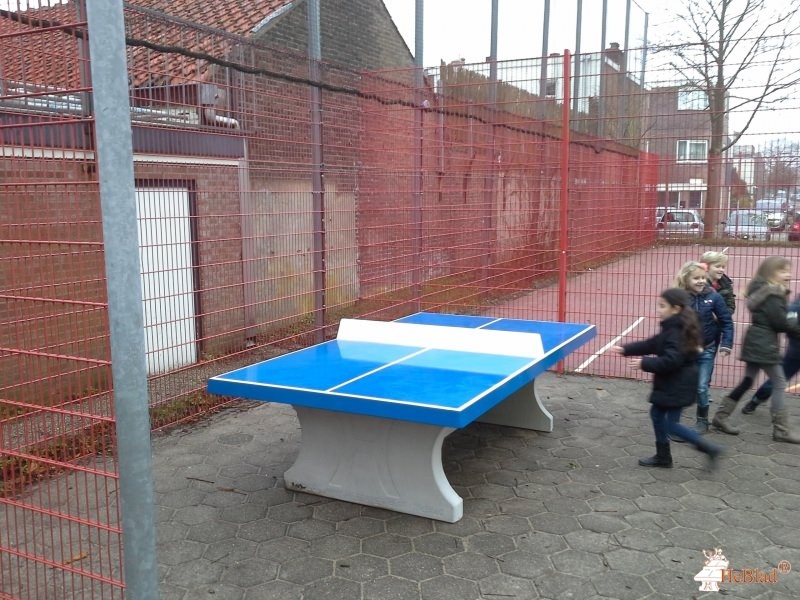 Basisschool de Cirkel uit Haarlem