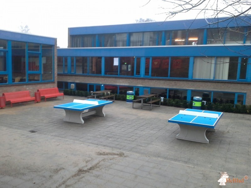 Nijmeegse Scholengemeenschap Groenewoud uit Nijmegen