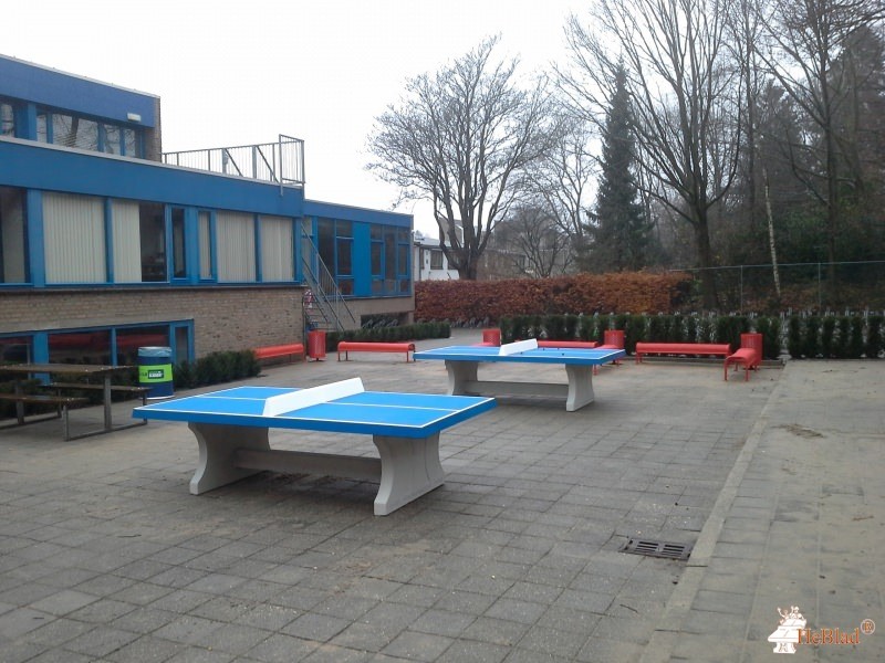 Nijmeegse Scholengemeenschap Groenewoud uit Nijmegen