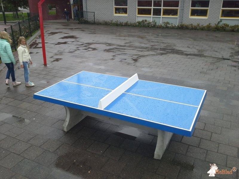 KBS de Flieterpen uit Reitsum