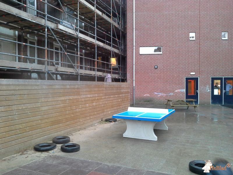 Talmaschool Rotterdam uit Rotterdam