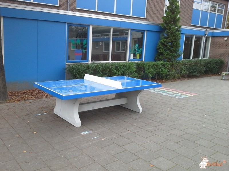 Steven Stemerdingschool uit Rotterdam