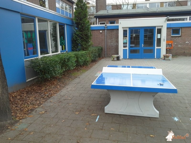 Steven Stemerdingschool uit Rotterdam