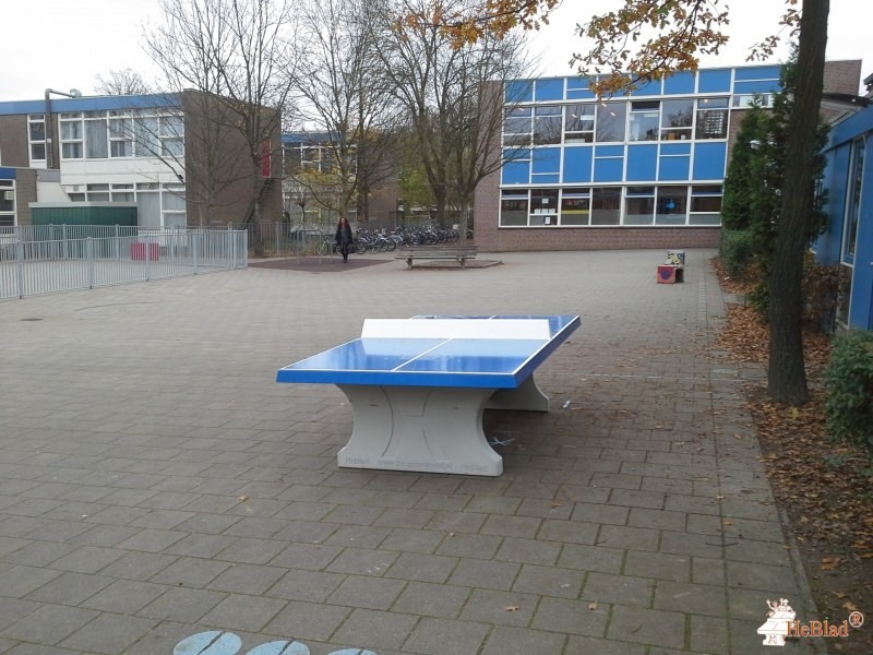 Steven Stemerdingschool uit Rotterdam