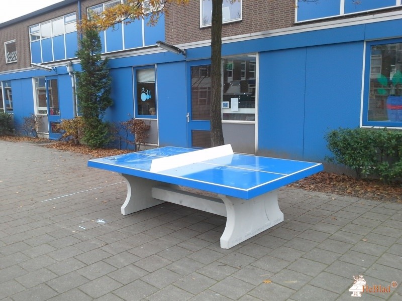 Steven Stemerdingschool uit Rotterdam