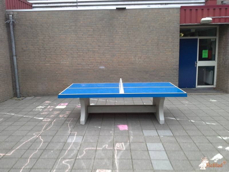 OBS de Meerpaal uit Terneuzen