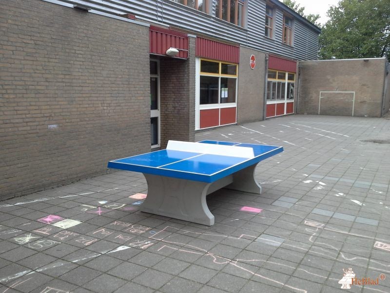 OBS de Meerpaal uit Terneuzen