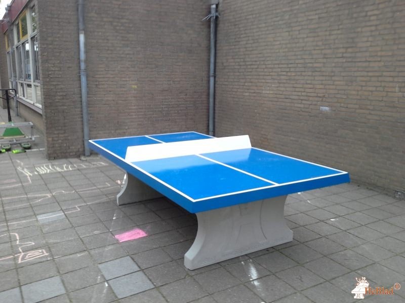 OBS de Meerpaal uit Terneuzen