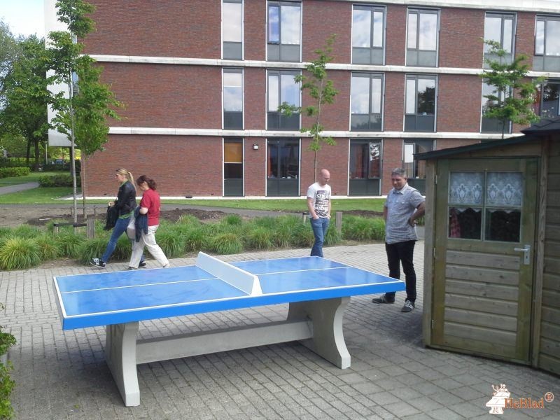 De Wever, locatie de Hazelaar uit Tilburg