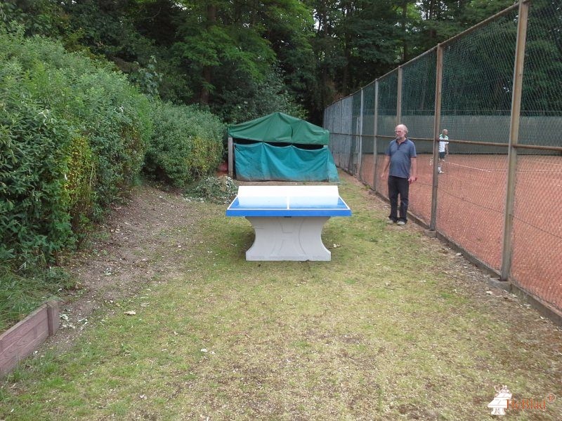 Tennisclub Venlo uit Venlo