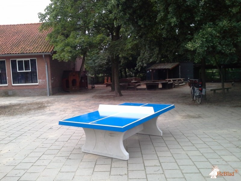 Wereldkidz Montessori Zeist uit Zeist
