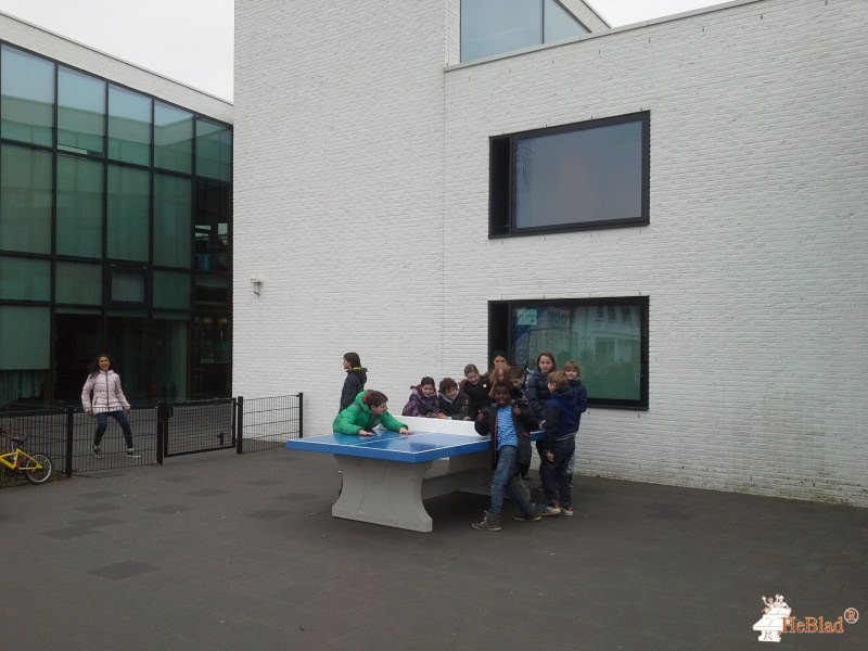 OBS Da Vinci uit Zoetermeer