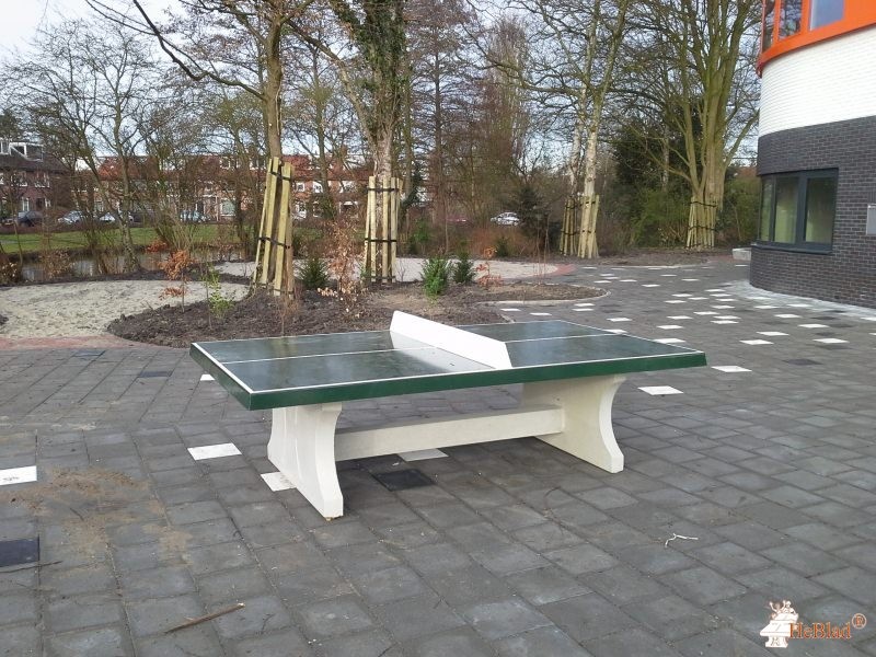 1e Montessorischool uit Amstelveen