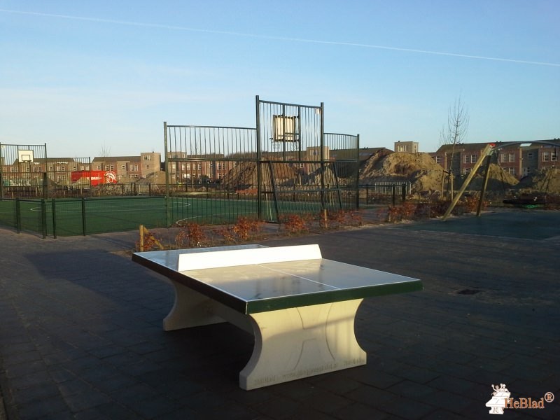 School Sterrenschip uit Assen