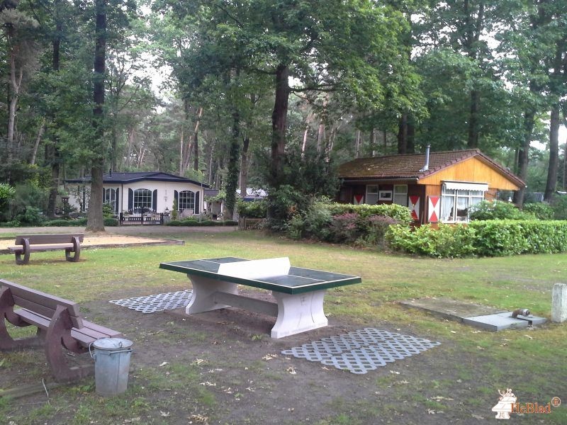 Kampeer & Chaletpark De Paddock uit Baarle-Nassau