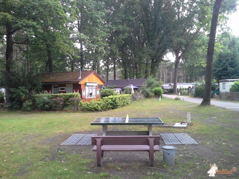 Kampeer & Chaletpark De Paddock uit Baarle-Nassau